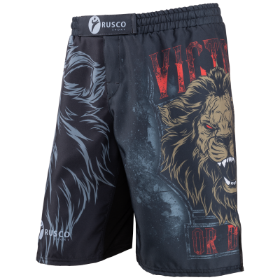 Шорты для MMA Lion, детские